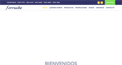 Desktop Screenshot of camisasferruche.com.mx